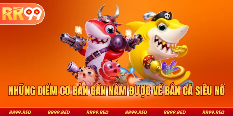 Những điểm cơ bản cần nắm được về bắn cá siêu nổ